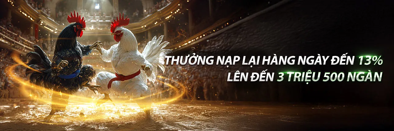 Đá Gà Trực Tiếp Hấp Dẫn tại 78be link mới